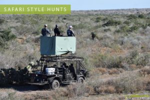 Safari Style Hunts